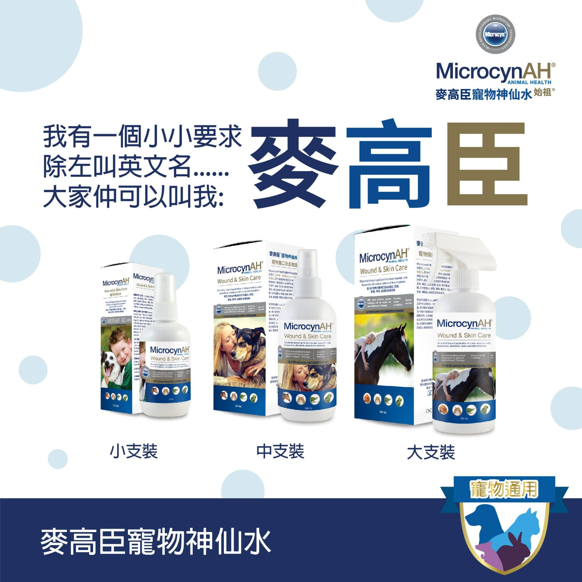 Slide Image Thumbnail