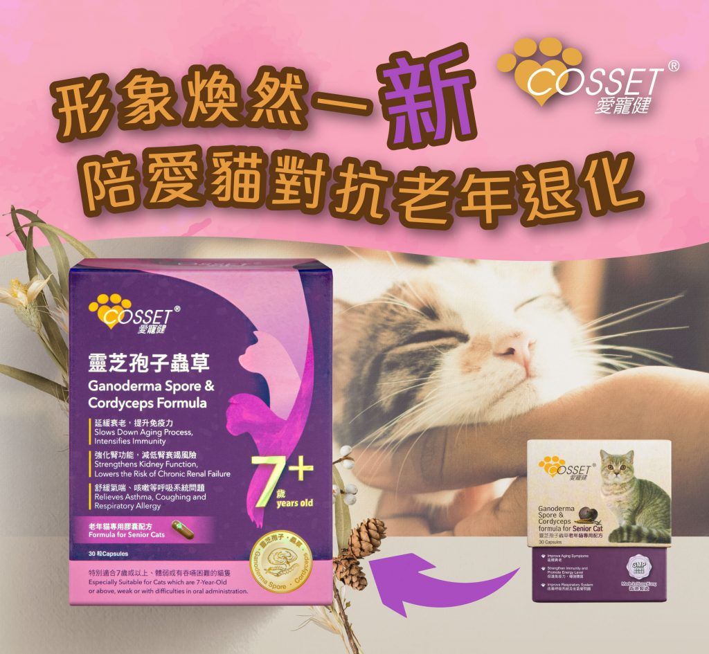Slide Image Thumbnail