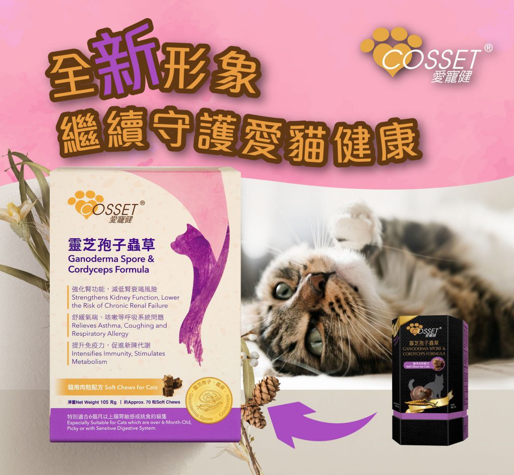 Slide Image Thumbnail