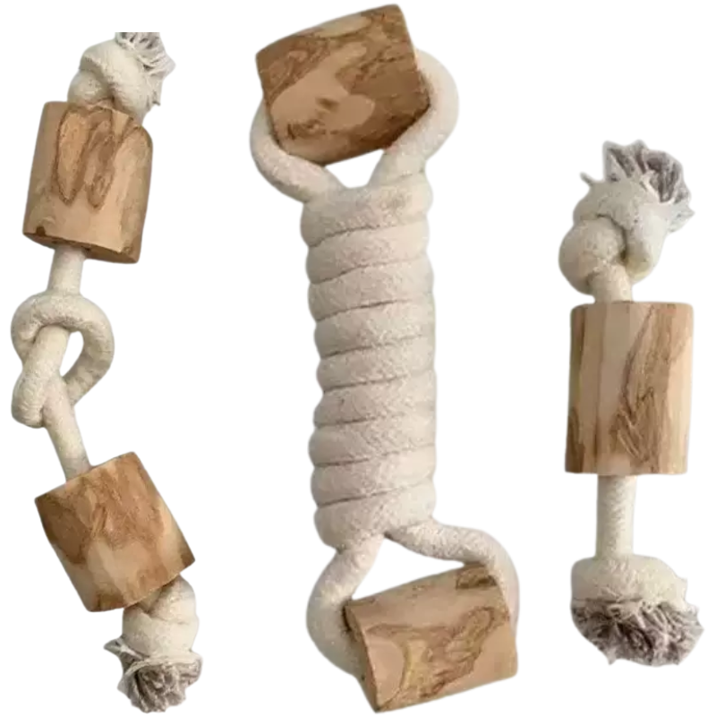 Slide Image Thumbnail